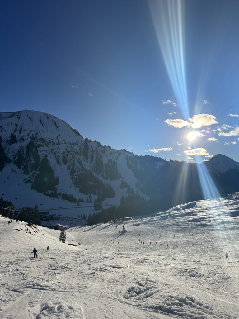 Winterprogramm der Skischule online!